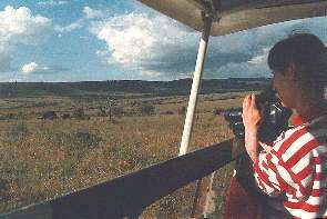 Meine Mutter filmt eine Elefantenherde. Mum filming a herd of elephants.