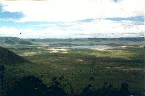 Blick in den Ngorongoro Krater. View into the Ngorongoro crater.