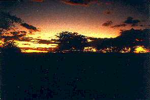 Sonnenaufgang ber der Serengeti. Sunrise over the Serengeti.